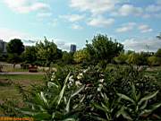 G�ztepe Park� 2003