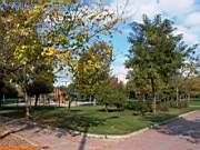 G�ztepe Park�, 28 Ekim 2005