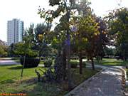 G�ztepe Park�, 28 Ekim 2005