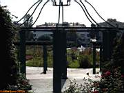G�ztepe Park�, 28 Ekim 2005