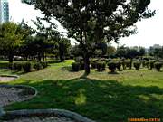 G�ztepe Park�, 28 Ekim 2005