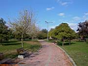 G�ztepe Park�, 28 Ekim 2005