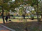 G�ztepe Park�, 28 Ekim 2005