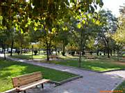 G�ztepe Park�, 28 Ekim 2005