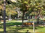 G�ztepe Park�, 28 Ekim 2005
