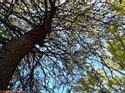 G�ztepe Park�, 28 Ekim 2005