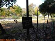 G�ztepe Park�, 28 Ekim 2005