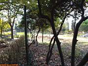 G�ztepe Park�, 28 Ekim 2005