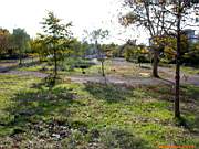 G�ztepe Park�, 28 Ekim 2005