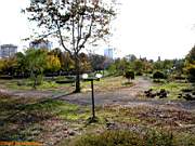 G�ztepe Park�, 28 Ekim 2005