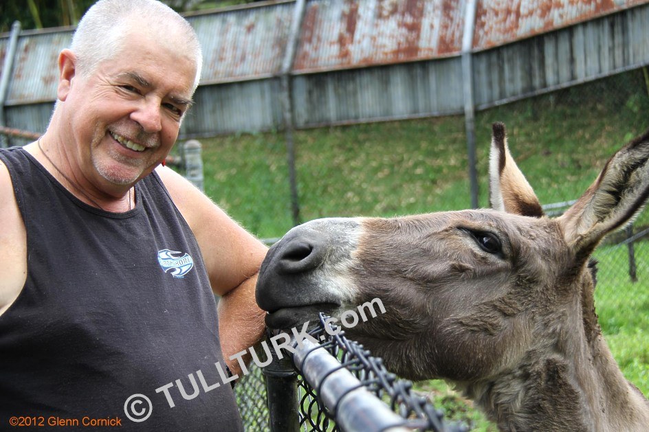 GLENN & Donkey 2012
