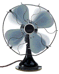 Bizim FAN lardan