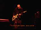 Peter Gabriel in Istanbul June 20, 2004