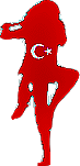 TullTurkLogo
